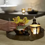 Apartahotel Mayor Capo Di Corfu 3*