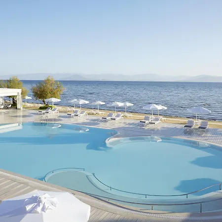 Capo Di Corfu Lägenhetshotell Kávos